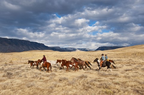 Cowboys herding horses.