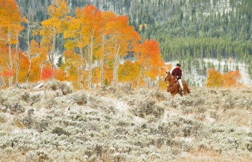 Horseback rider.