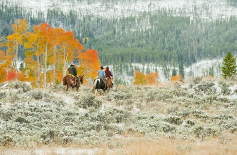 Horseback riders.