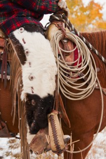 Cowgirl on horse.