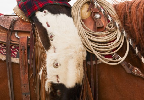 Cowboy on horse.