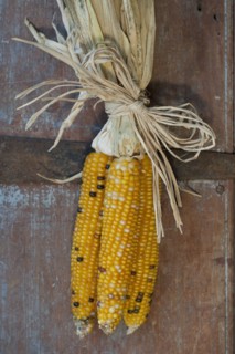 Autumn decoration.