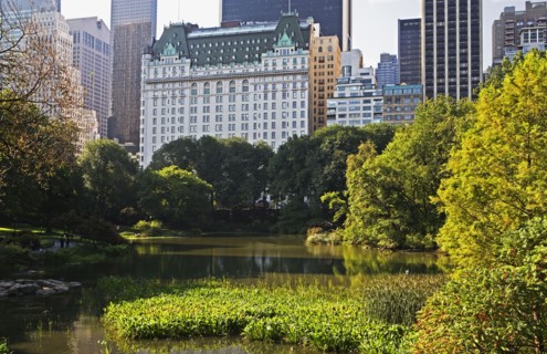 City park