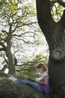 Girl reading book in tree