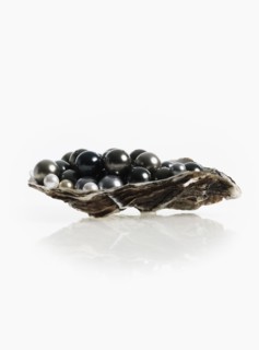 Oyster full of pearls