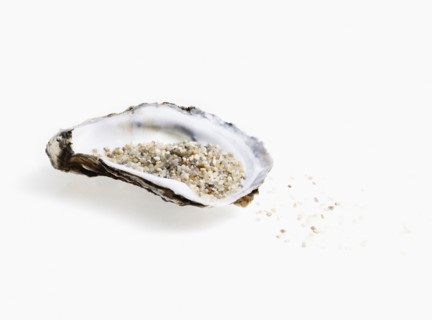 Oyster shell