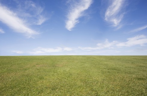 Field