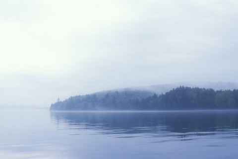 Misty lake