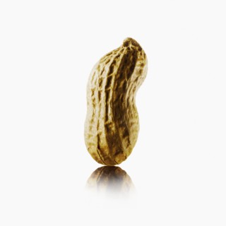 Peanut