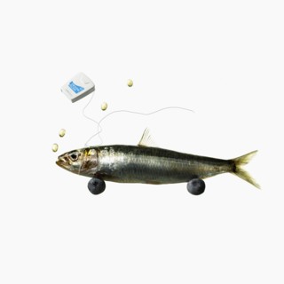 Fish and dental floss