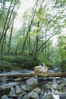 Hikers resting
