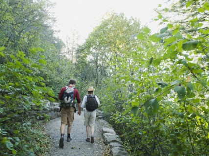 Hikers on path