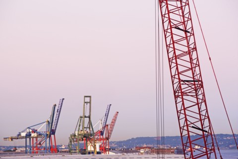Cranes