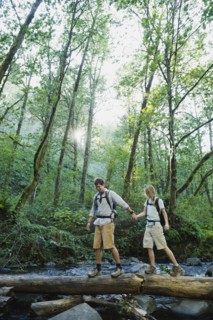 Hikers walking on log