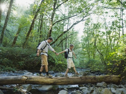 Hikers walking on log