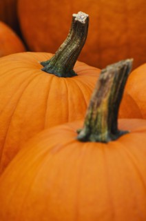 Pumpkins