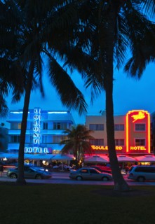 Palm trees and street at night.