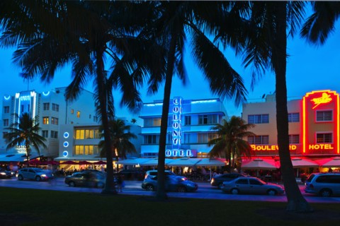 Palm trees and street at night.