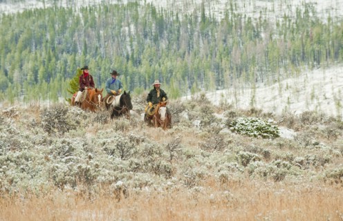 Horseback riders.