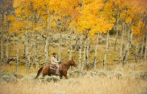 Horseback rider.