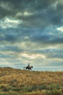 Horseback rider.