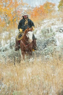 Horseback rider.