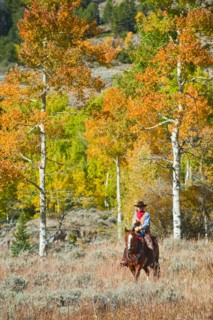 Horseback rider.