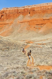 Horseback riders on trail.