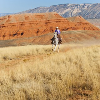 Horseback rider.