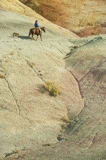 Horseback rider.