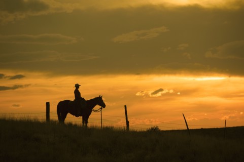Horseback rider.