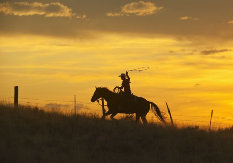 Horseback rider.