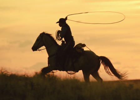 Horseback rider.