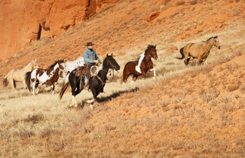 Cowboy herding horses.