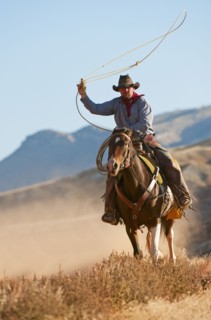 Cowboy.