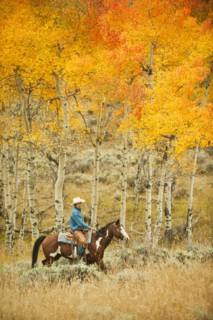 Horseback rider.
