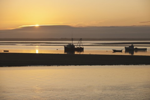 Fishing boats.