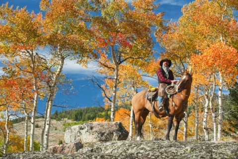 Horseback rider.