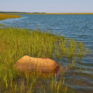 Marsh.
