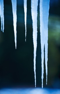 Icicles.