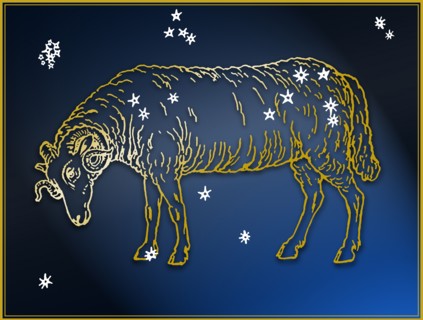 Ram.