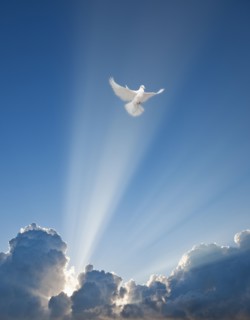 Dove and clouds.