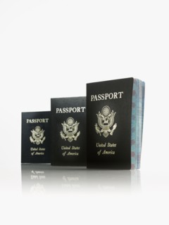 Passports. Photographer: David Arky