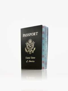 Passport. Photographer: David Arky