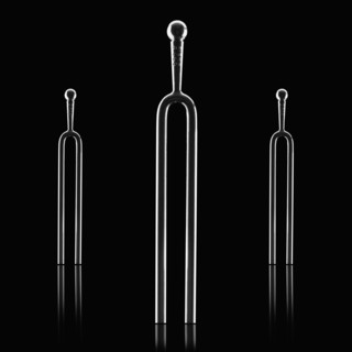 Tuning fork. Photographer: Mike Kemp