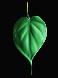 Green paint on leaf. Photographer: Mike Kemp