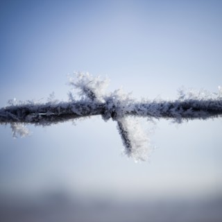 Frost on barbed wire. Photographer: Mike Kemp