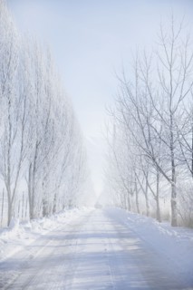 Rural road in winter. Photographer: Mike Kemp