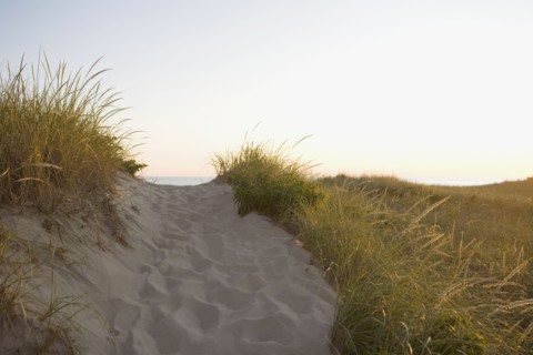 Path to the beach. Photographer: Chris Hackett