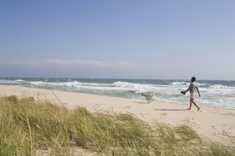 Walking dog on the beach. Photographer: Chris Hackett
